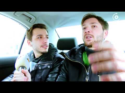 გაბუნიები | მეჩქარება