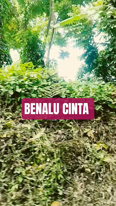 Benalu Cinta - Mansyur S. #music #dangdut #musikhiburan