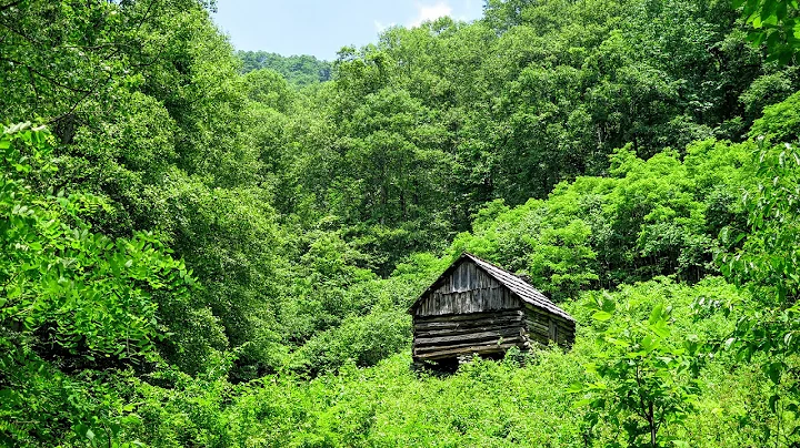 Basin Creek and Caudill Cabin - Doughton Park, NC