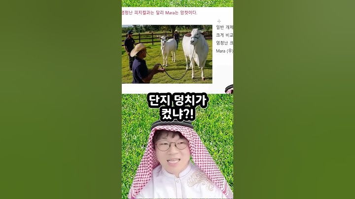 세계에서 가장 비싼 소