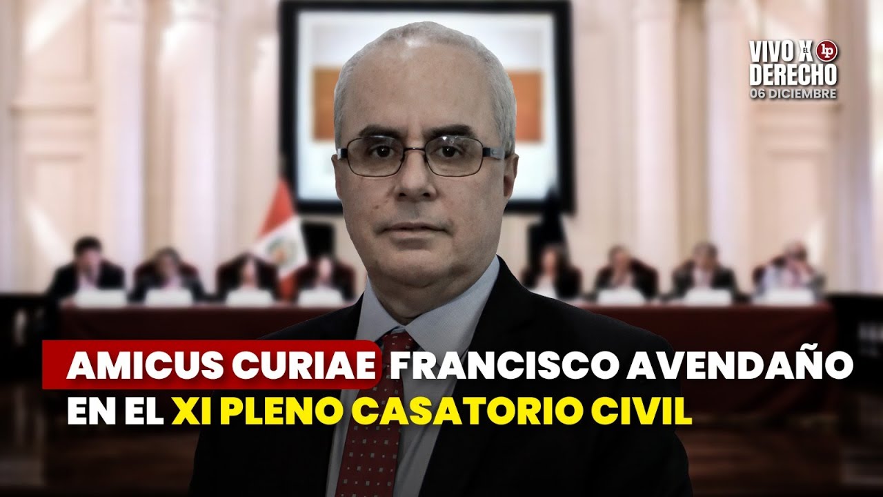 Amicus curiae Francisco Avendaño Arana en el XI Pleno Casatorio Civil (prescripción adquisitiva)