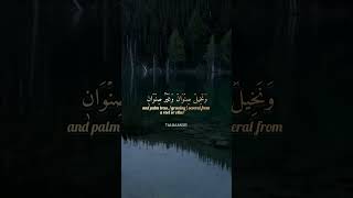 Surah ar rad sheikh salah bukthari