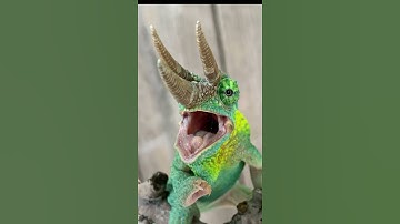 Machakos Hills Jackson