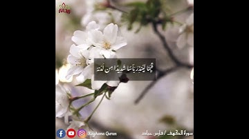 "الحمد لله الذي أنزل على عبده الكتاب" #ريحانة_قرآن #سورة_الكهف #فارس_عباد حالات واتس إسلامي