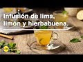 Receta de Infusión de Lima, Limón y Hierbabuena desde 0,45 ...