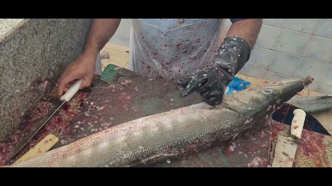 Long Barracuda Cutting Master।।  Barracuda Fish Cutting Expert Skills।। Cutting Barracuda