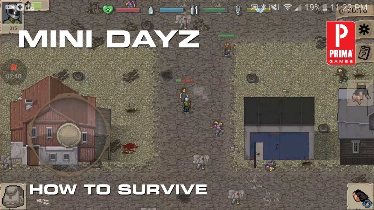 Mini DayZ - Among one of the biggest Mini DayZ mysteries