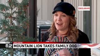 Sandy pet owner says mountain lion ate her dog