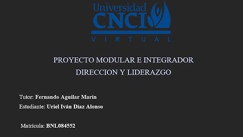 Proyecto Modular e Integrador Direccion y Liderazgo CNCI Virtual