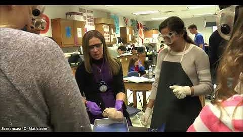 What does Flipped Mastery Learning look like?