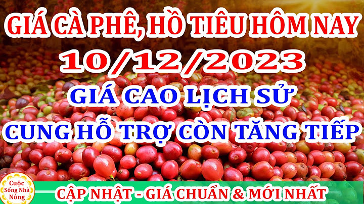 Giá keo ty pon trên thị trường là bao nhiêu