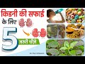 किडनी डीटॉक्स के लिए 5 ज़रूरी चीज़े | Kidney Detox Foods | किडनी की सफाई कैसे करें