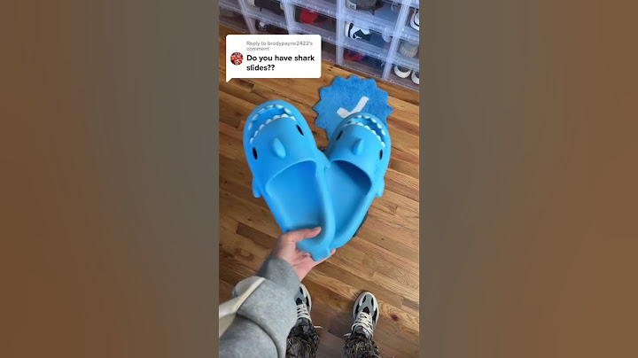 Have You Seen SHARK SLIDES?
