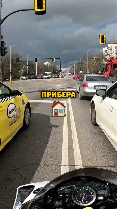 Мокро коте - YouTube