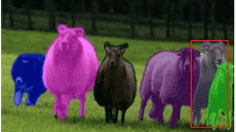 INSTANCE SEGMENTATION - MASK R-CNN | with Python and Opencv
