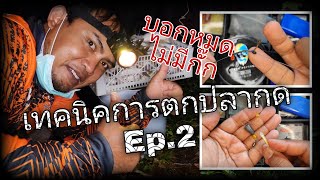 เทคนิคการตกปลากดหน้าฝายสไตล์สิงกระชากวิญญาณ Ep.2 การขึ้นสายเบ็ด