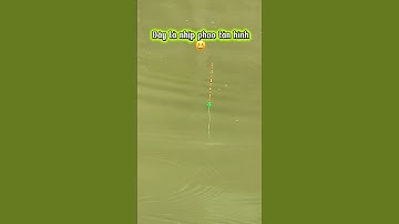 Câu cá mà nhịp phao tàn hình luôn rồi 😆 #vyhanfishing #fishing #caucathugian #cancauca