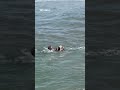 Surf Coach Rescues Father And Daughter From Rip Current In California Surf Coach Rescues Father And Daughter From Rip Current In California