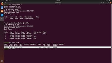 Ubuntu 19.10 Initial ZFS Support on Installer!!