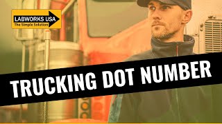 Trucking DOT Number 🚚 Federal Answers for New Carriers, Letting You Know whats Next in Your Bus