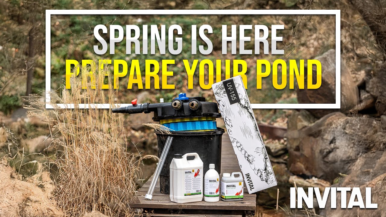 Jak připravit zahradní jezírko na sezónu? | INVITAL