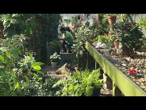 Video: Ko darīt botāniskajā dārzā - uzziniet par aktivitātēm botāniskajā dārzā