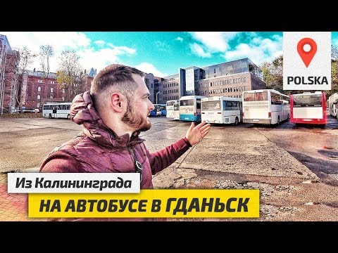 Из КАЛИНИНГРАДА в ПОЛЬШУ на АВТОБУСЕ. Выходные в Гданьске. Путешествие в Польшу