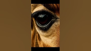 Can You Guess This Image Before the Zoom Ends? #ai #shorts #viral