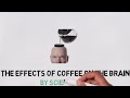‏آثار القهوة على الدماغ