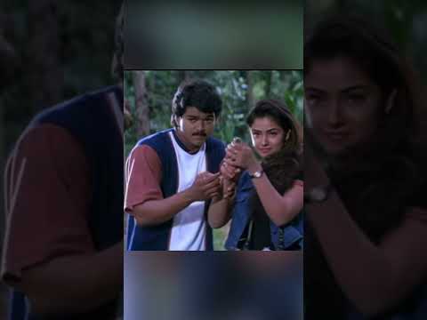 Vijay Simran Romantic scene from the movie Oncemore|#thalapathyvijay|#simran |#vijaysimran|#vijay