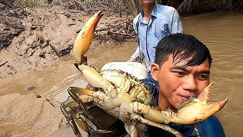 Mò Tôm Cua Cá Giao Lưu Cùng Gia Đình Chú Dũng /Đạt Nguyễn Cần Giờ