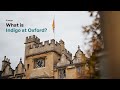 What is Indigo at Oxford?