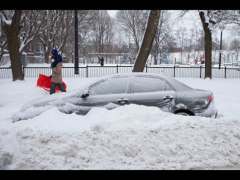 A look at the winter wallop that blanketed the GTA