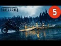 ОНИ МЕНЯ НЕ ОТПУСКАЮТ ► Days Gone ( Жизнь после ) ◉ Прохождение #5