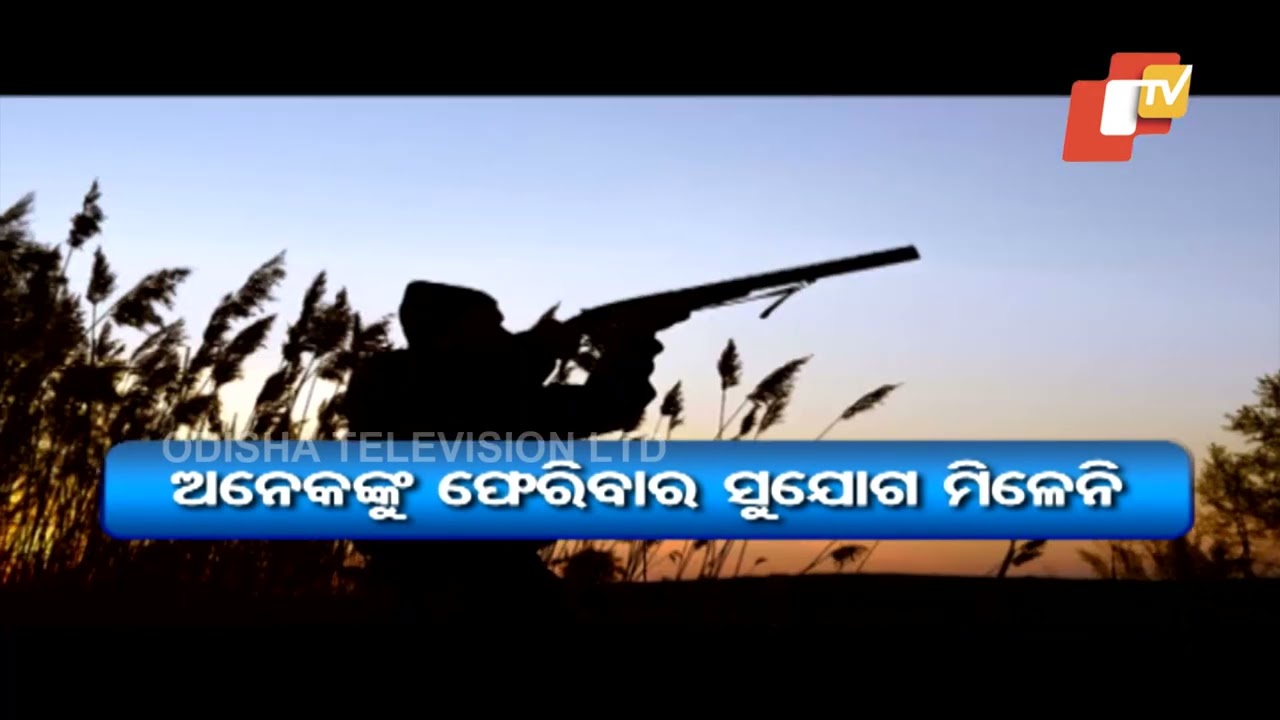 As winter knocks, migratory birds begin to arrive at Chilika Lake