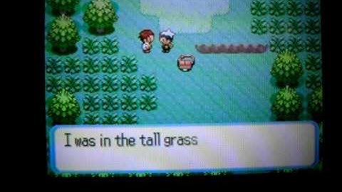 My second uncatchable shiny Poochyena.