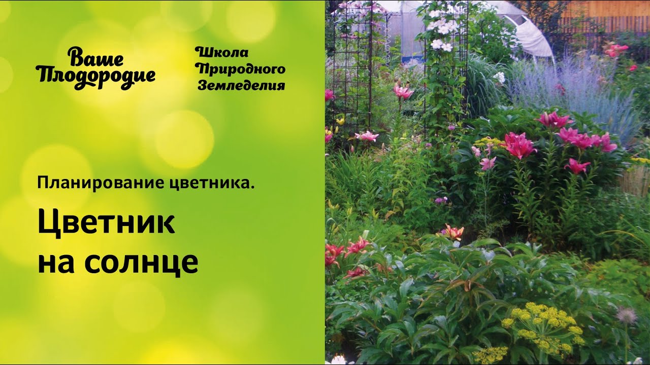 Ваше Плодородие Магазин Официальный Сайт