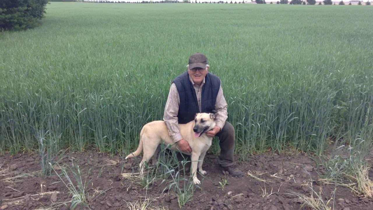 Friendly farming