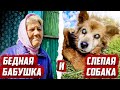 История до слёз   | Орловская обл, Урицкий р/н д.Ледно