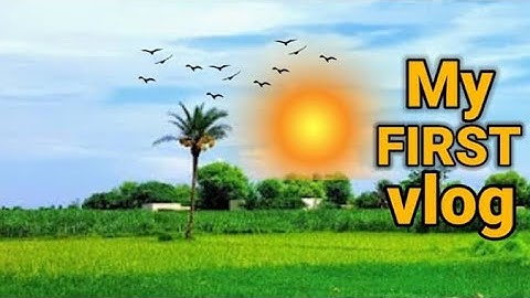 My first vlog || my first viral vlog || my first vlog today#vlog#blogger #youtube #viral #viralvideo
