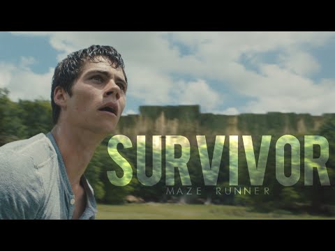 MAZE RUNNER | Survivor