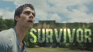 MAZE RUNNER | Survivor