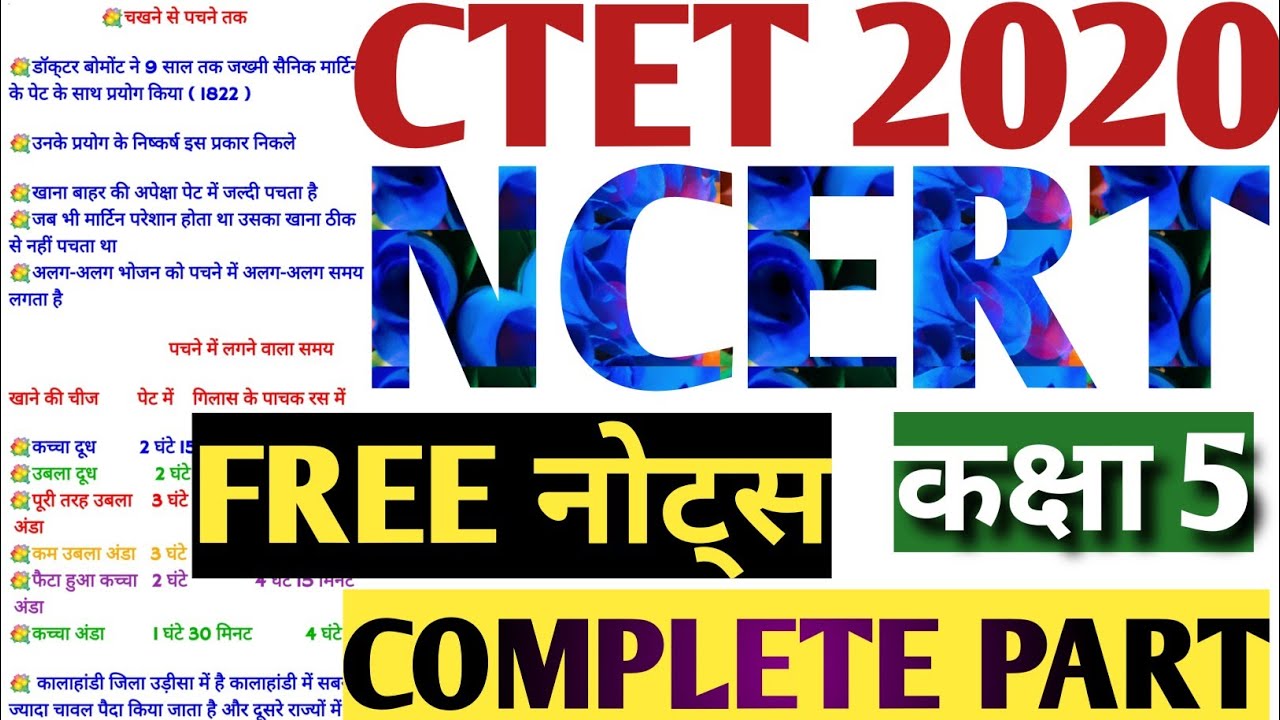 Ctet Evs Notes.pdf CTET 2020|CTET EVS NCERT|पर्यावरण अध्ययन|evs ncert notes for ctet|evs ...