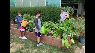 MPS students learning life skills thanks to greenhouse project