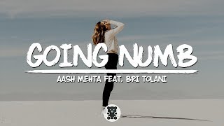 Aash Mehta - Going Numb (feat. Bri Tolani) (Lyrics Video)