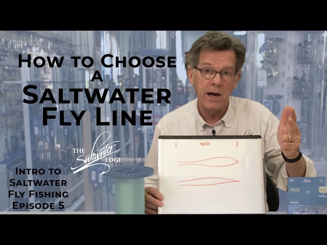 Salt Water Fly Fishing - Gear Guide - SunCruiser