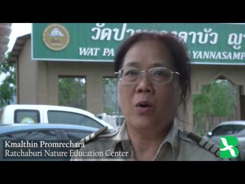 Video: 7 Sebab Untuk Berfikir Dua Kali Sebelum Melawat Thailand 