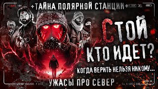 видео: ТАЙНА ПОЛЯРНОЙ СТАНЦИИ. Стой, кто идет? Ужасы про север. История на ночь. картинка: ТАЙНА ПОЛЯРНОЙ СТАНЦИИ. Стой, кто идет? Ужасы про север. История на ночь.