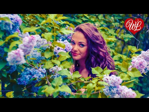 Русская Музыка Wlv Черемуха Neue Songs Und Russische Musik Hits Russian Music Hits