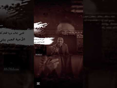جديد نصرت البدر تي تي